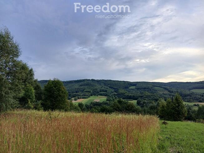 1,8 ha pod rekreację, siedlisko lub fotowoltaikę