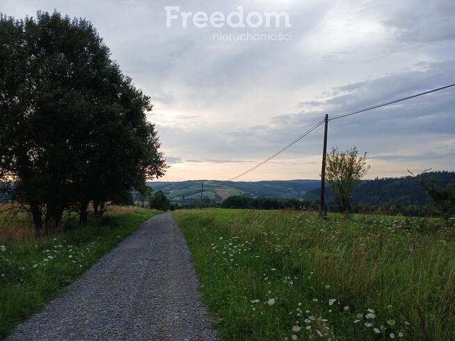 1,38 ha pod siedlisko, pasiekę lub fotowoltaikę