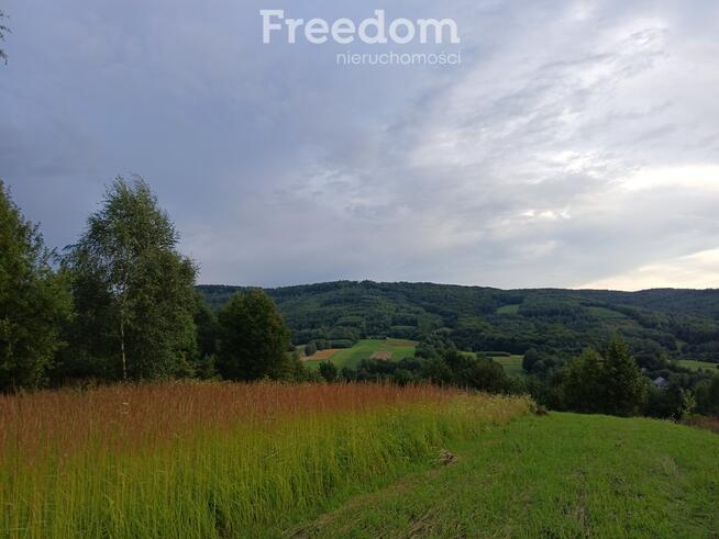 1,38 ha pod siedlisko, pasiekę lub fotowoltaikę