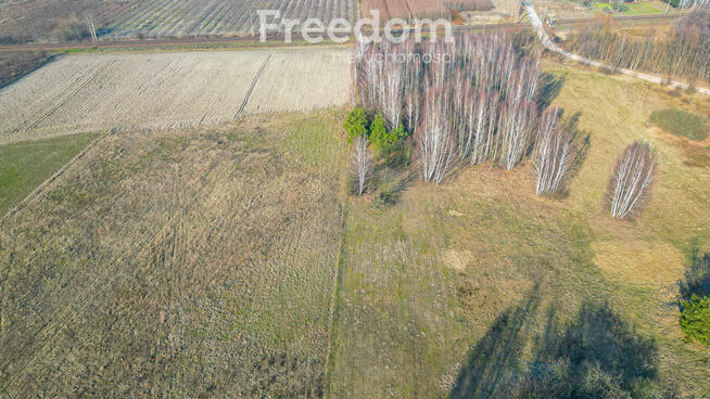 Działka rolna w Suchostrudze