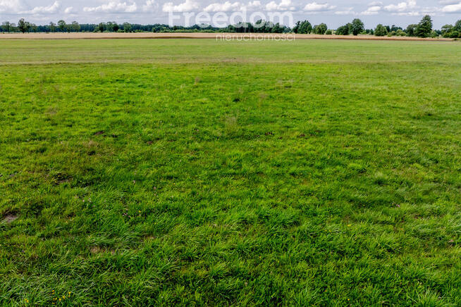 Działki na ogródki w udziałach lub jedna cała