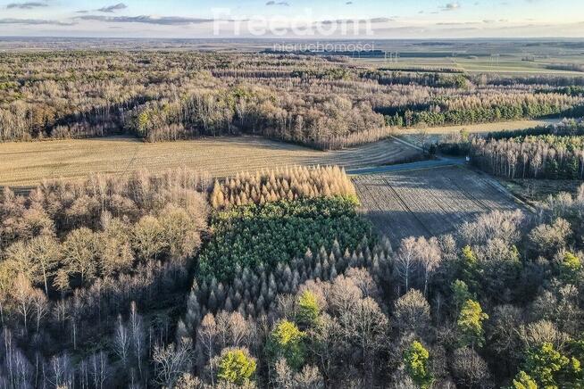 Działka 39,75 ar przy drodze i lesie– Giedlarowa