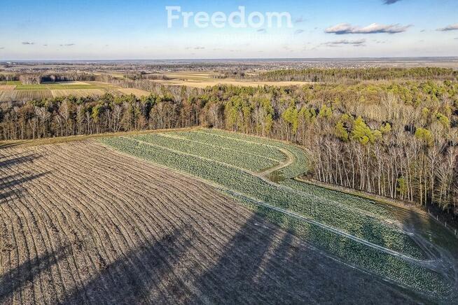 Działka 39,75 ar przy drodze i lesie– Giedlarowa