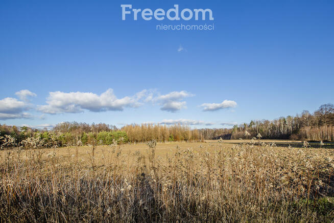 Działka 39,75 ar przy drodze i lesie– Giedlarowa