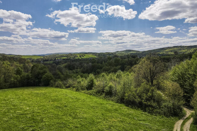 Widokowa działka 92 ar – Końskie, gm. Dydnia