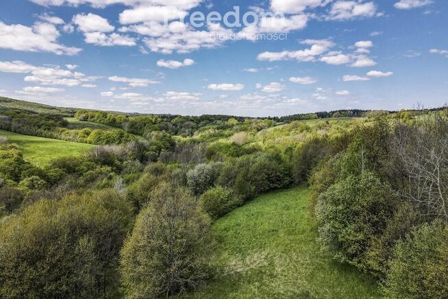 Widokowa działka 92 ar – Końskie, gm. Dydnia