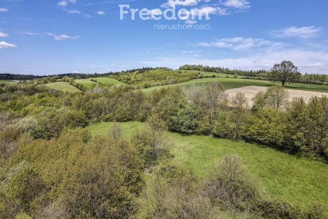 Widokowa działka 92 ar – Końskie, gm. Dydnia