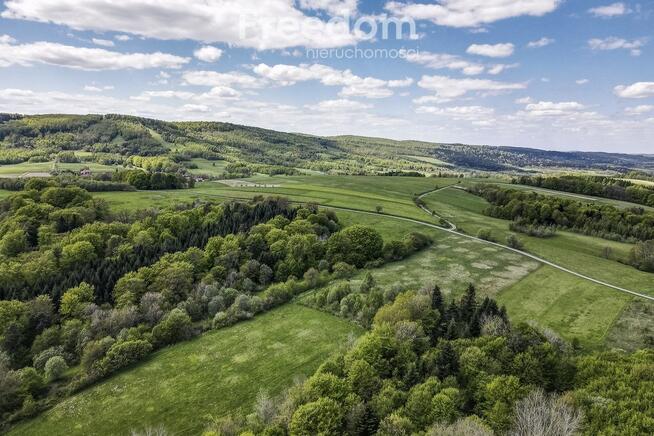 Widokowa działka 92 ar – Końskie, gm. Dydnia