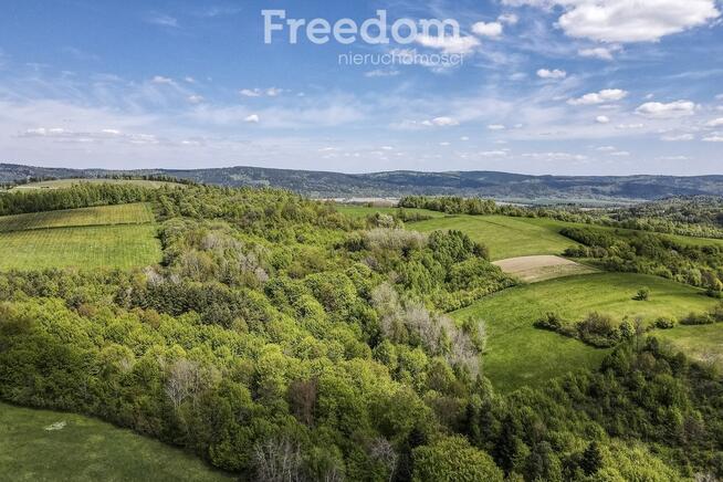 Widokowa działka 92 ar – Końskie, gm. Dydnia