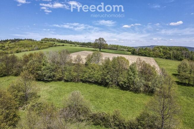 Widokowa działka 92 ar – Końskie, gm. Dydnia