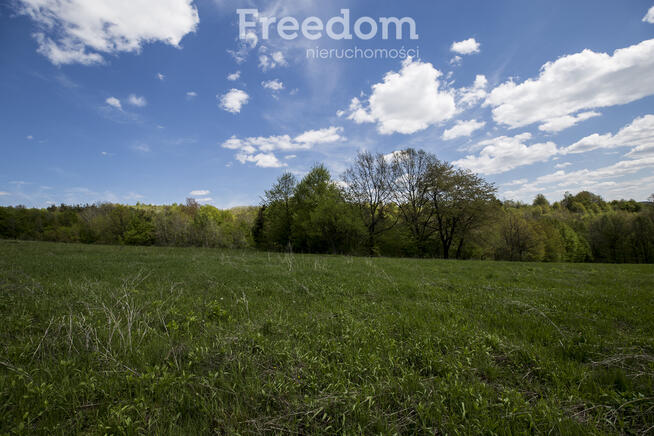 Widokowa działka 92 ar – Końskie, gm. Dydnia