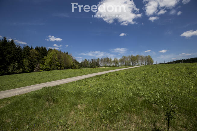 Widokowa działka 92 ar – Końskie, gm. Dydnia