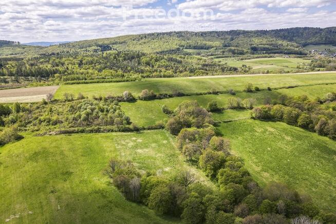 Działka rolno-rekreacyjna 50ar–Końskie, gm. Dydnia