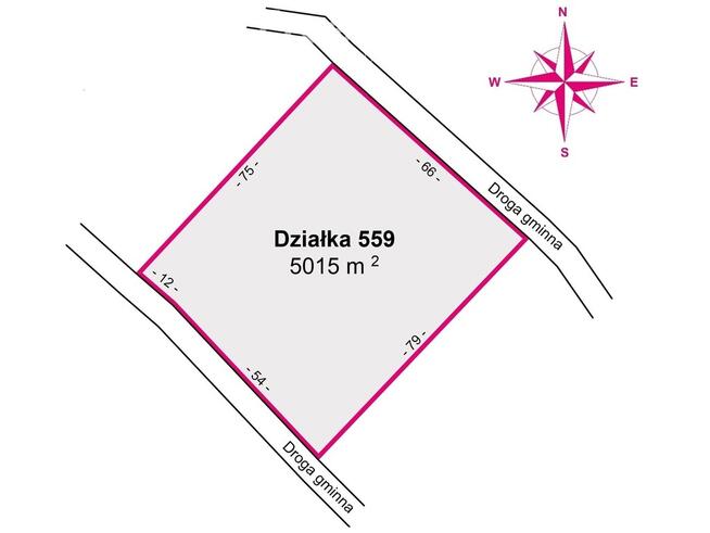 Działka rolno-rekreacyjna 50ar–Końskie, gm. Dydnia