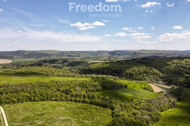 Działka rolno-rekreacyjna 50ar–Końskie, gm. Dydnia