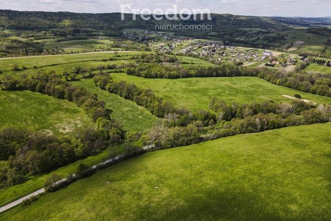Działka rolno-rekreacyjna 50ar–Końskie, gm. Dydnia