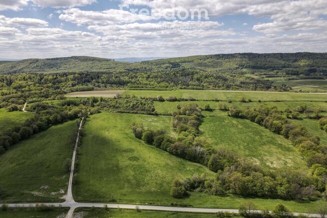 Działka rolno-rekreacyjna 50ar–Końskie, gm. Dydnia
