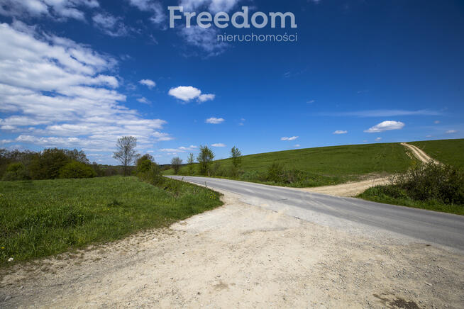 Działka rolno-rekreacyjna 50ar–Końskie, gm. Dydnia