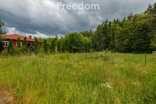 Działka z wejściem do lasu