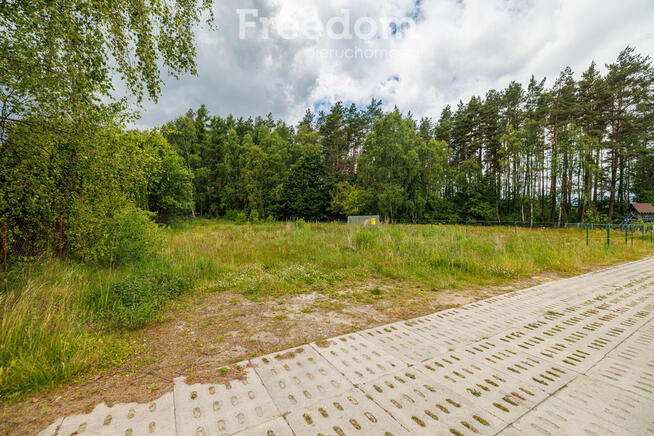 Działka z wejściem do lasu