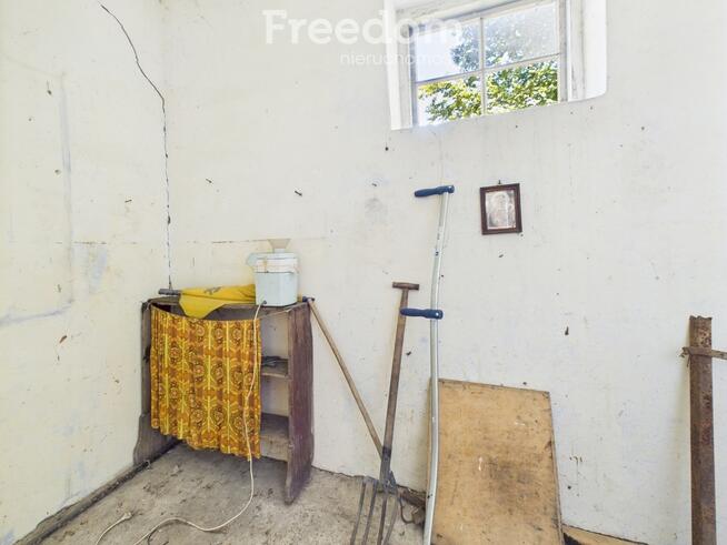 Śniadówka – piękne siedlisko do adaptacji