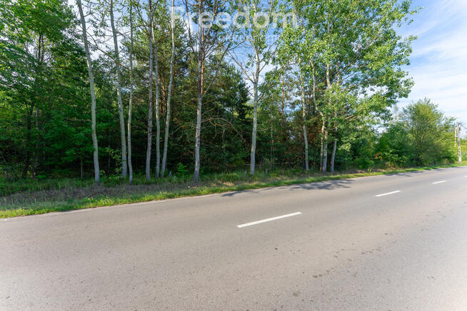 Duża działka 9243 m² w Piskórce