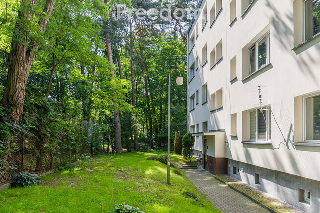 Do remontu, ale z duszą i ogromnym potencjałem