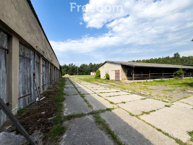 Działka z halami, 8330 m², Olszewo k. Mikołajek