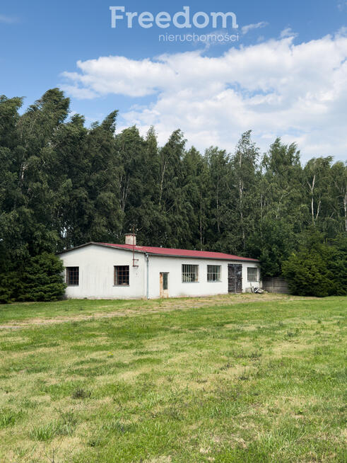 Działka z halami, 8330 m², Olszewo k. Mikołajek