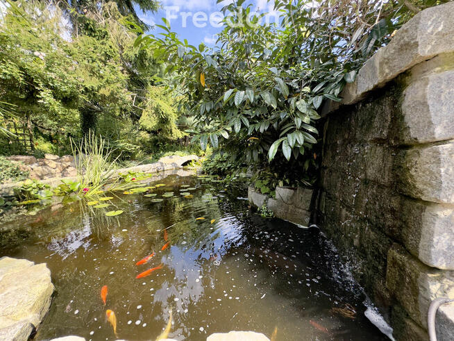 Twoje prywatne królestwo z ogrodem, SPA i biznesem