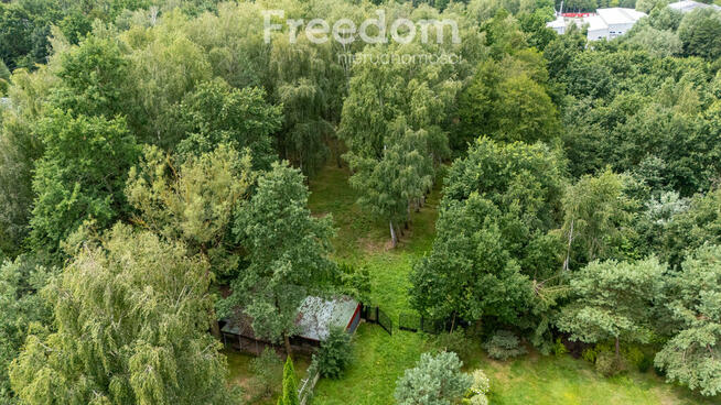 Urokliwa działka ze stawem i laskiem brzozowym