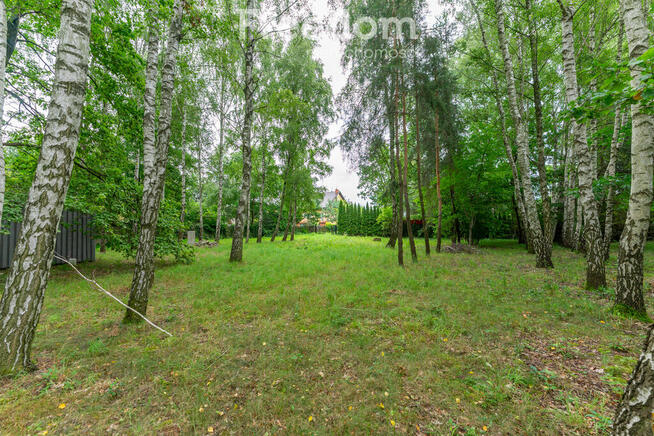 Urokliwa działka ze stawem i laskiem brzozowym