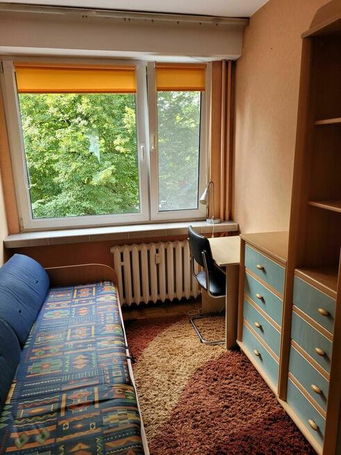 Mieszkanie do wynajęcia