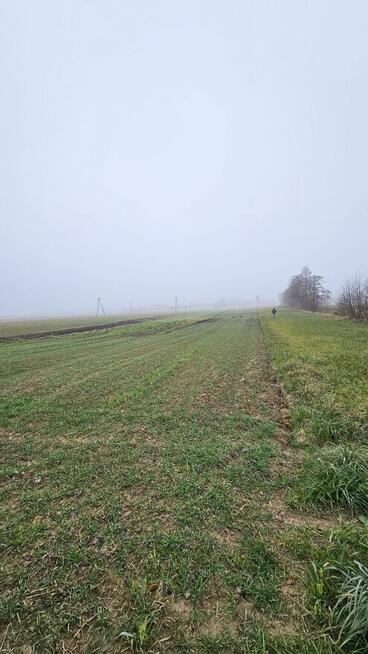 Działki 200 m2 oraz 3500 m2