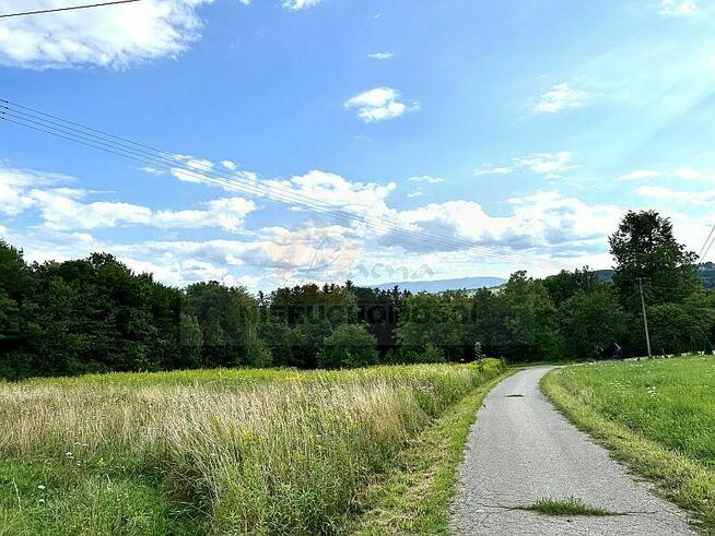 OFERTA GODNA POLECENIA! 114G Trzetrzewina gmina Chełmiec, d