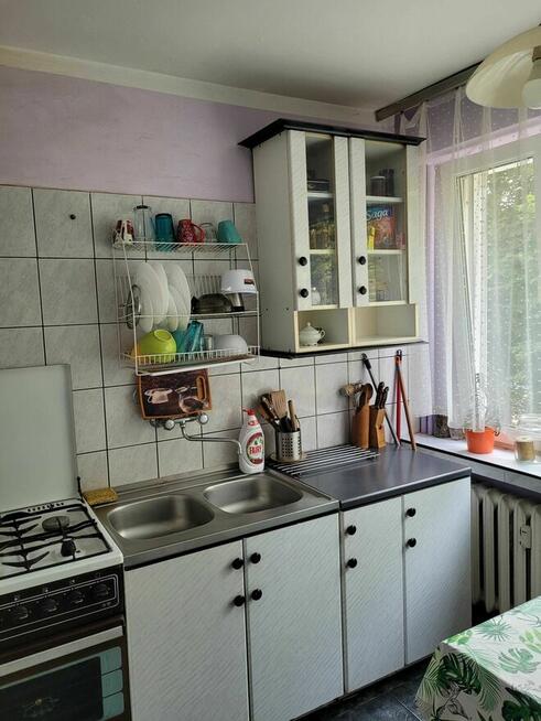 Mieszkanie do wynajęcia