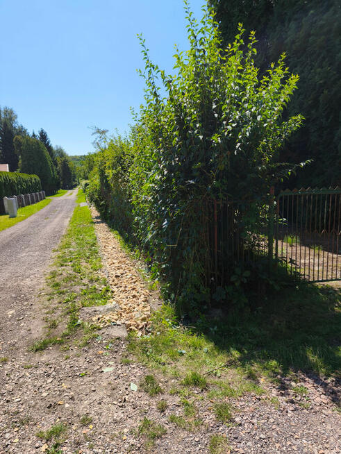 Sprzedam działkę RODO 35 km. od Krakowa