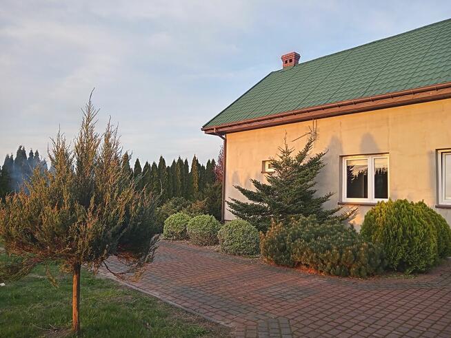 Dom w pięknej okolicy