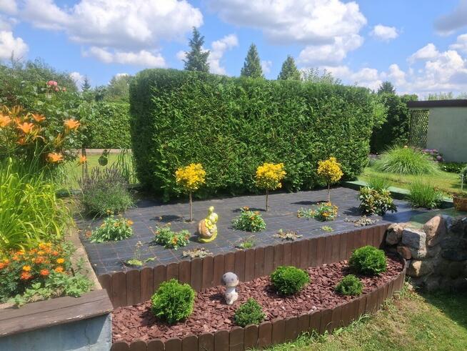 Sprzedam działkę ROD w Śremie nad jeziorem