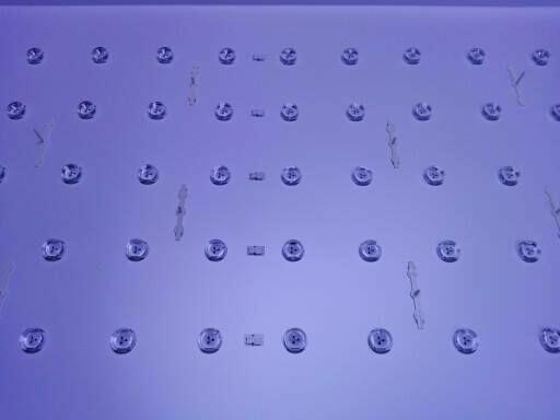 Naprawa Serwis Skup Laptopów Telewizorów LED LCD OLED / Lubl