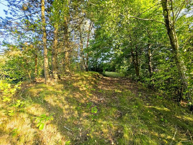 Działka budowlana Szczekarków