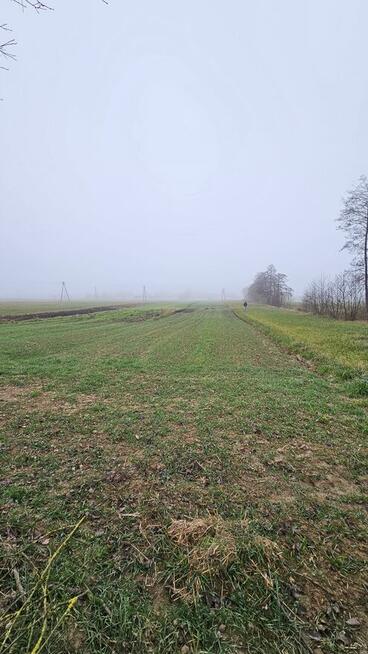 Działki 200 m2 oraz 3500 m2