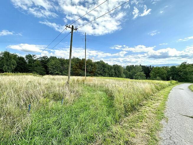 OFERTA GODNA POLECENIA! 114G Trzetrzewina gmina Chełmiec, d