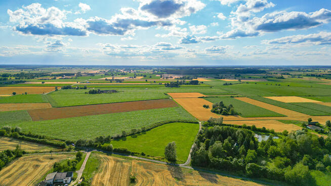 Działka 1,27 ha Wola Miedniewska 4 km od CPK, 3 km A2