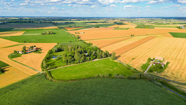 Działka 1,27 ha Wola Miedniewska 4 km od CPK, 3 km A2