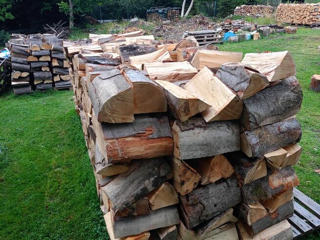 Buk 5.5 metra. Kawałki 33cm do 38 cm.