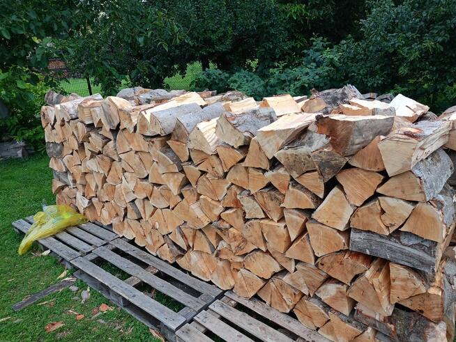 Buk 5.5 metra. Kawałki 33cm do 38 cm.