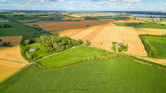 Działka 1,27 ha Wola Miedniewska 4 km od CPK, 3 km A2