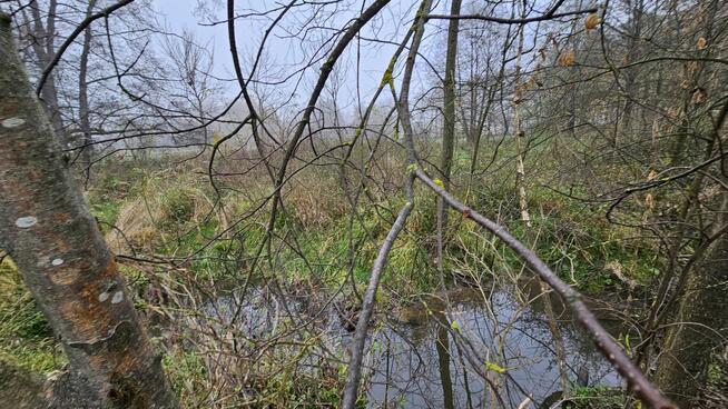 Działki 200 m2 oraz 3500 m2