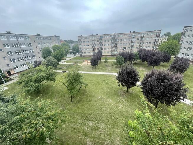 Mieszkanie o pow. 39 m2 w Kole ul. Sienkiewicza